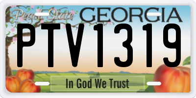 GA license plate PTV1319