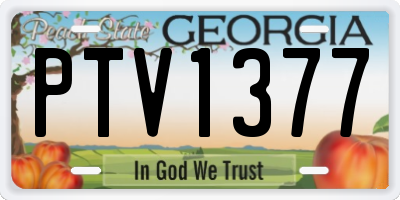 GA license plate PTV1377