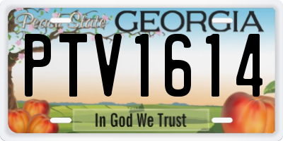 GA license plate PTV1614