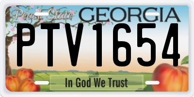 GA license plate PTV1654