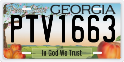 GA license plate PTV1663