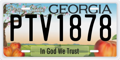 GA license plate PTV1878