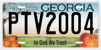GA license plate PTV2004