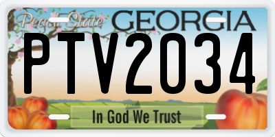 GA license plate PTV2034