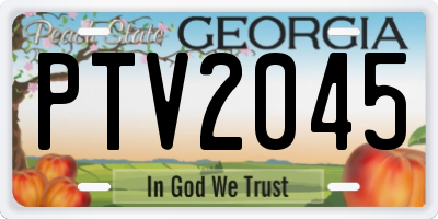 GA license plate PTV2045