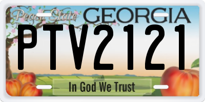 GA license plate PTV2121