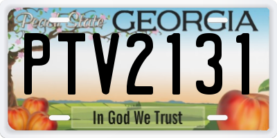 GA license plate PTV2131