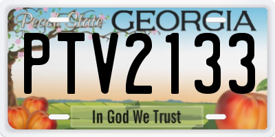 GA license plate PTV2133