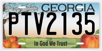 GA license plate PTV2135