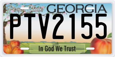 GA license plate PTV2155
