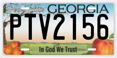 GA license plate PTV2156