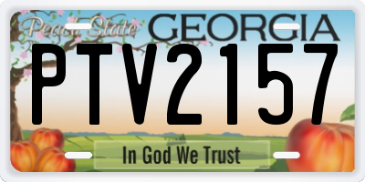 GA license plate PTV2157