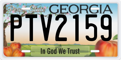 GA license plate PTV2159