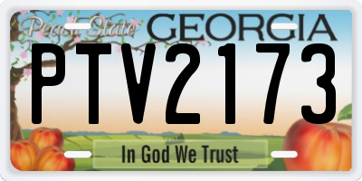 GA license plate PTV2173