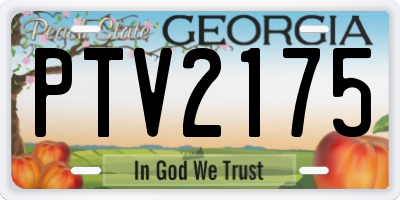 GA license plate PTV2175
