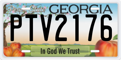 GA license plate PTV2176