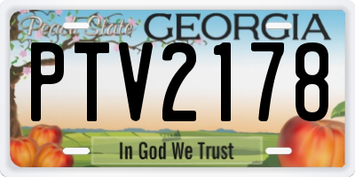 GA license plate PTV2178