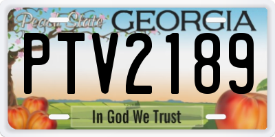 GA license plate PTV2189