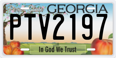 GA license plate PTV2197