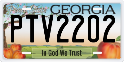 GA license plate PTV2202