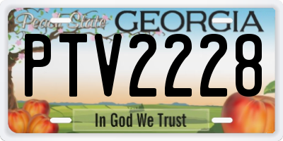 GA license plate PTV2228