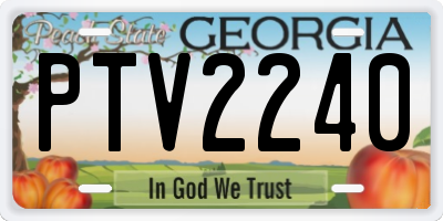 GA license plate PTV2240