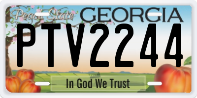 GA license plate PTV2244