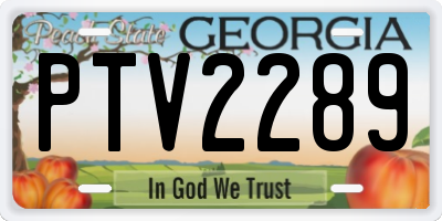GA license plate PTV2289