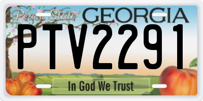 GA license plate PTV2291