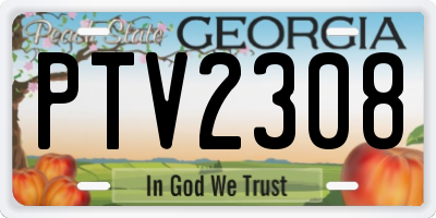 GA license plate PTV2308