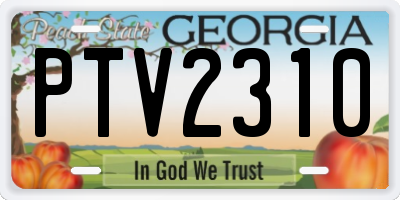 GA license plate PTV2310