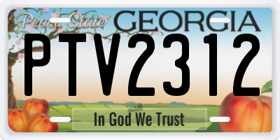 GA license plate PTV2312