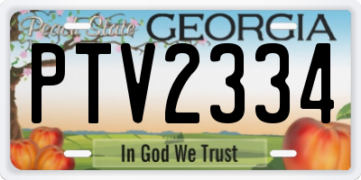 GA license plate PTV2334