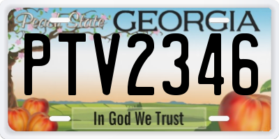 GA license plate PTV2346