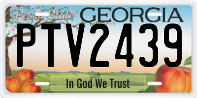 GA license plate PTV2439