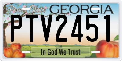 GA license plate PTV2451
