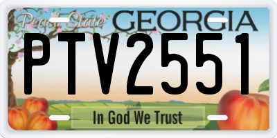 GA license plate PTV2551