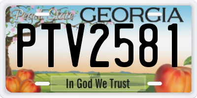GA license plate PTV2581
