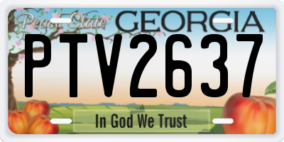 GA license plate PTV2637