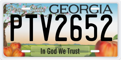 GA license plate PTV2652