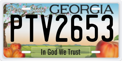 GA license plate PTV2653