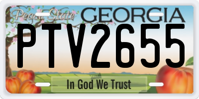 GA license plate PTV2655
