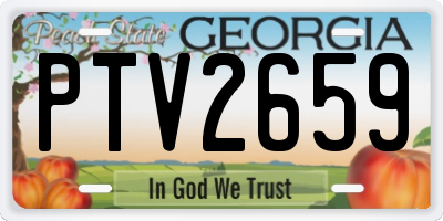 GA license plate PTV2659