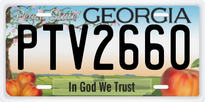 GA license plate PTV2660