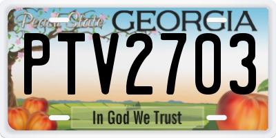GA license plate PTV2703