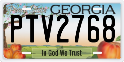 GA license plate PTV2768