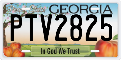 GA license plate PTV2825