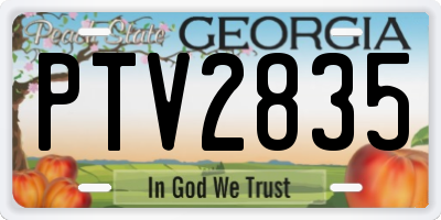 GA license plate PTV2835