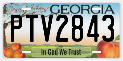 GA license plate PTV2843