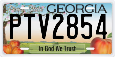 GA license plate PTV2854